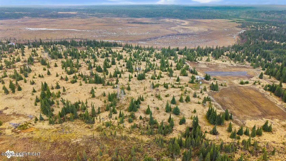 23499 & 23563 Crazy Woman Road, Ninilchik, AK 99639 - #1
