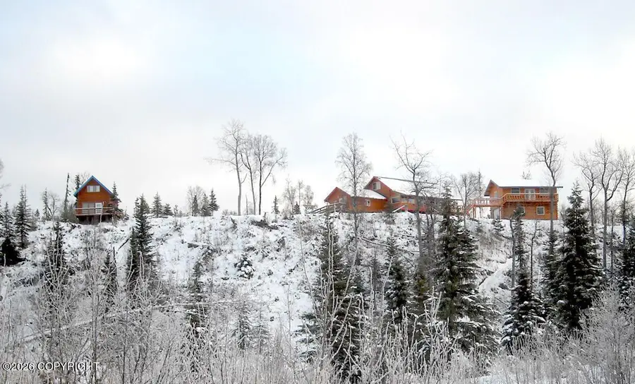 17471 Todd Road, Ninilchik, AK 99639 - #3