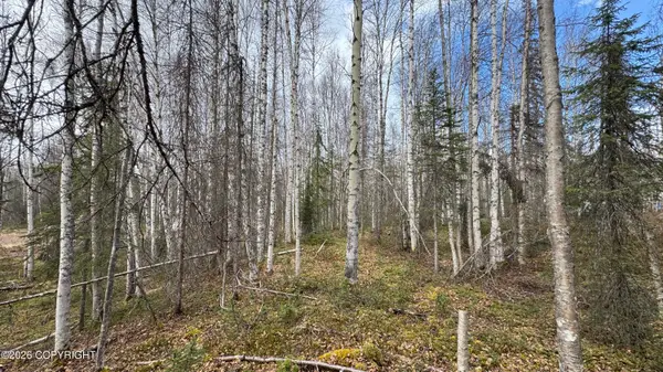 19941 E Twentyinch Avenue, Willow, AK 99688