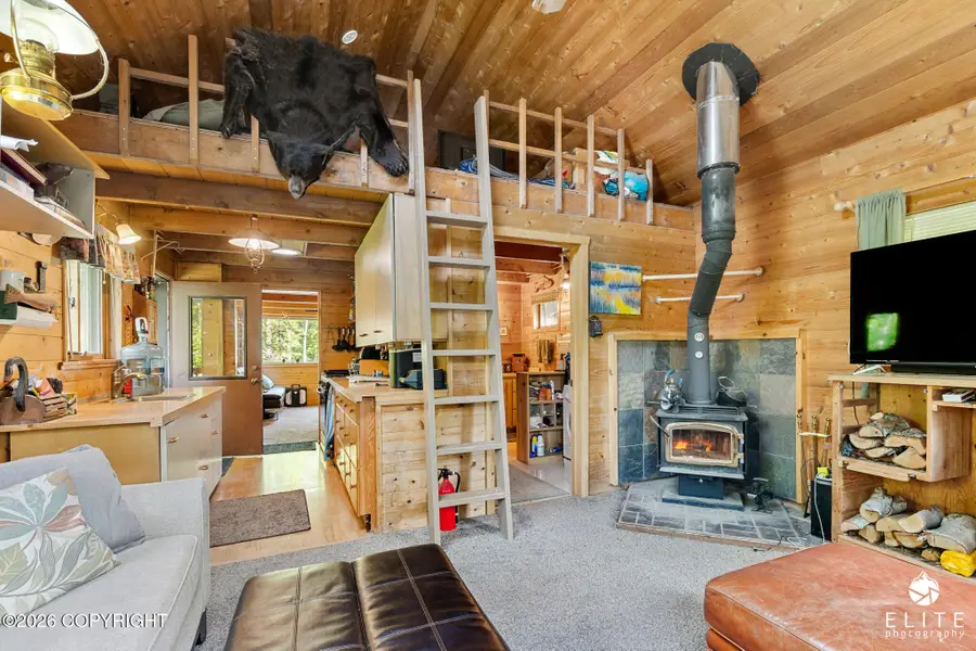 33695 E Oline Circle, Chickaloon, AK 99674 - #2