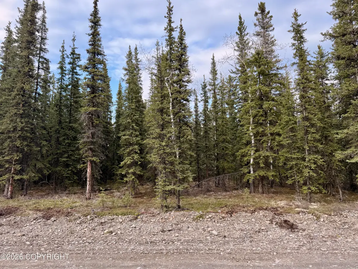 L14B9 Pringle Road, Tok, AK 99780 - #1