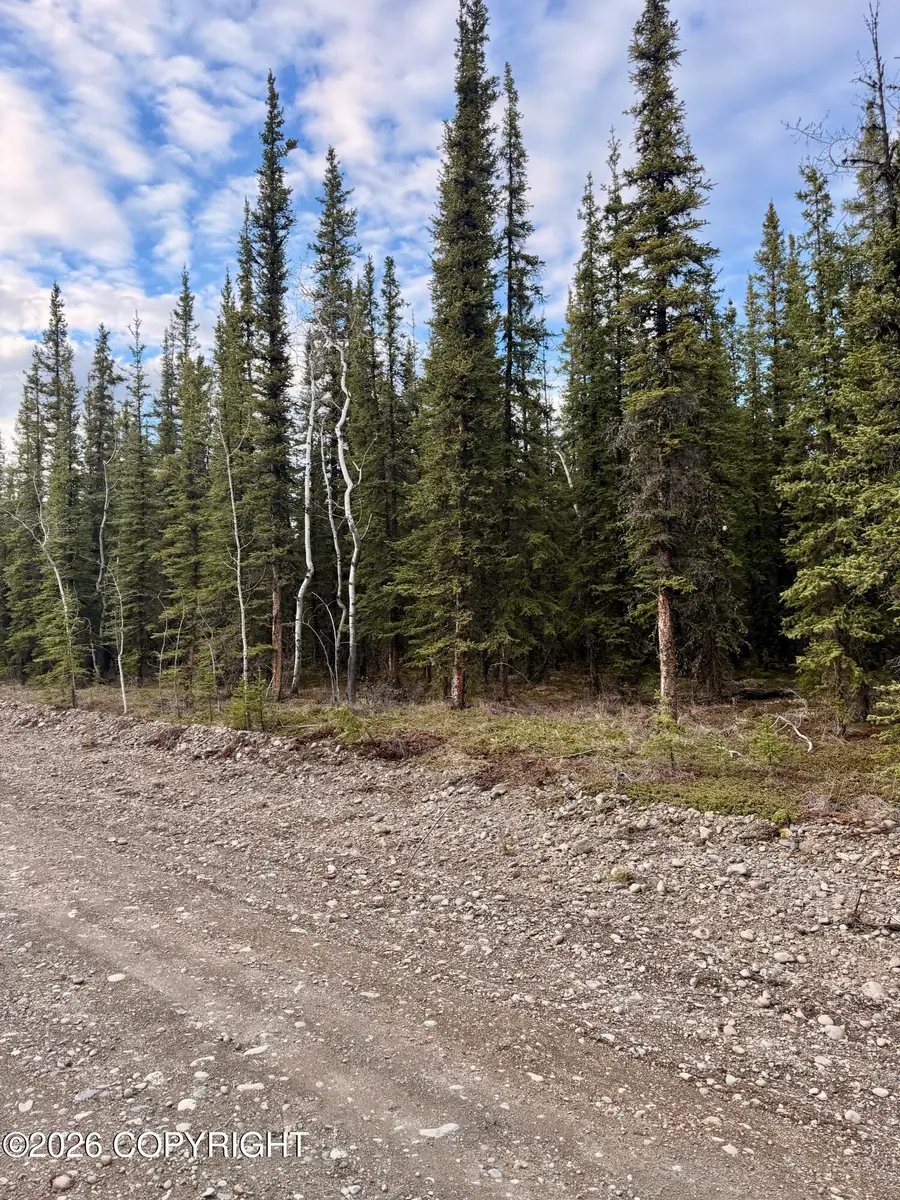 L14B9 Pringle Road, Tok, AK 99780 - #2
