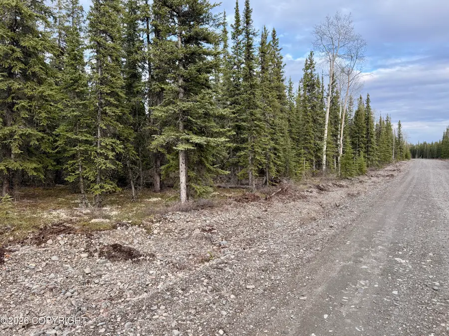 L14B9 Pringle Road, Tok, AK 99780 - #3