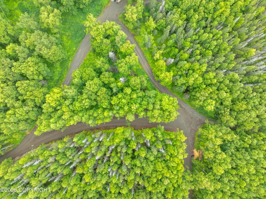 19155 N Nirvana Circle, Wasilla, AK 99623 - #3