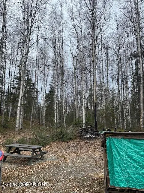 47625 S Brower Place, Willow, AK 99688 - #3