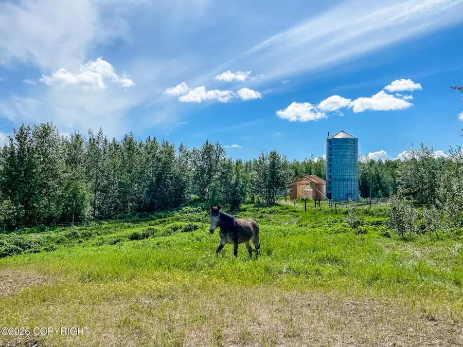 5800 Cunningham Road, Palmer, AK 99645 - #3