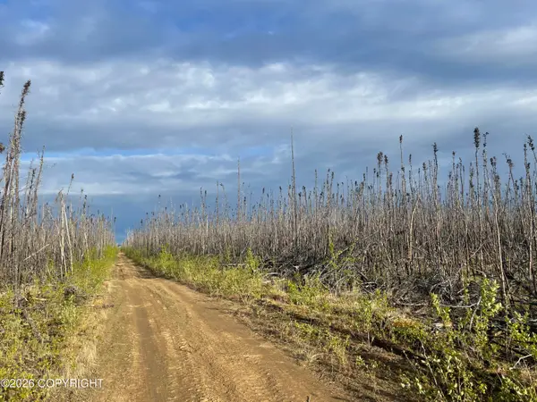 NHN Lightning Avenue, Clear, AK 99743