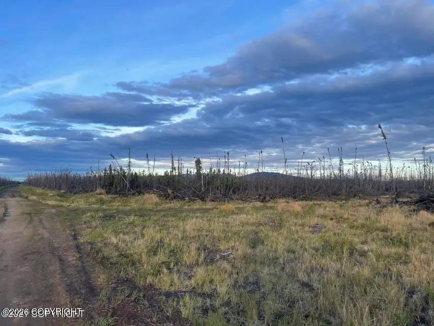 NHN Lightning Avenue, Denali, AK 99743 - #2