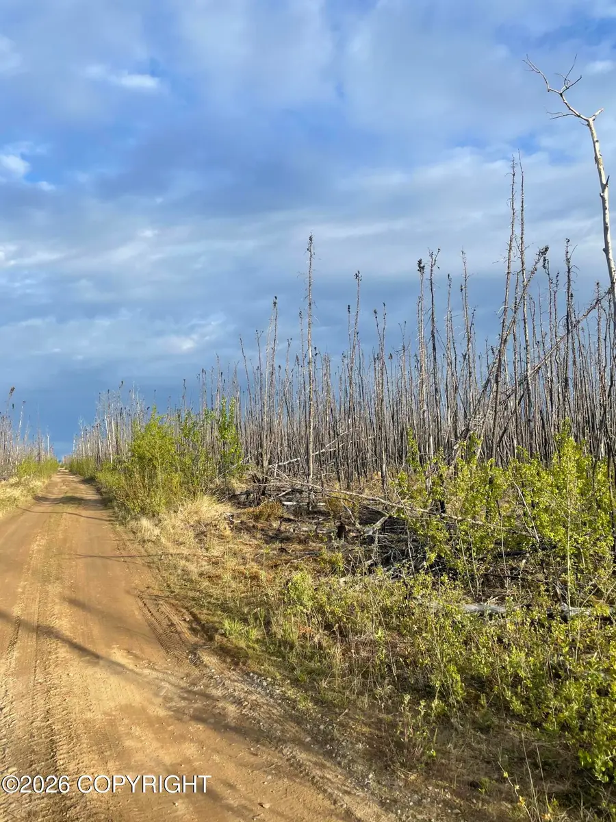 NHN Lightning Avenue, Denali, AK 99743 - #3