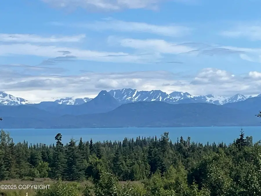 38834 Triple Crown Road, Homer, AK 99603 - #2