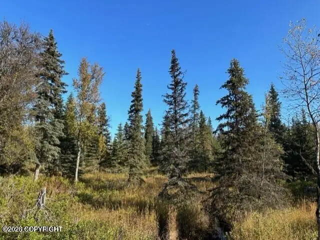 68302 Sunshine Drive, Ninilchik, AK 99639 - #1