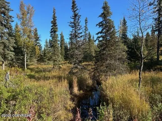 68302 Sunshine Drive, Ninilchik, AK 99639 - #3