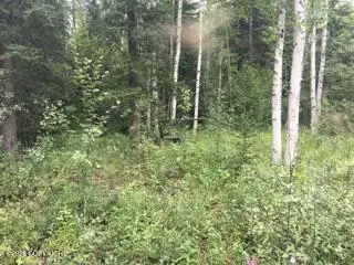 000 Lydia Lane, Manley Hot Springs, AK 99000 - #3