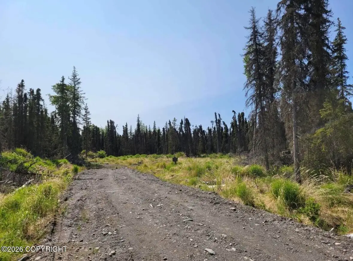 48927 Rustic Avenue, Soldotna, AK 99669 - #1
