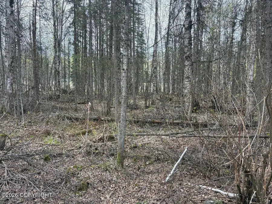 L144 White Birch Road, Chugiak, AK 99567 - #2