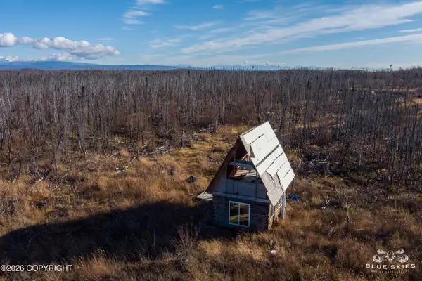41357 W Krantz Road, Willow, AK 99688
