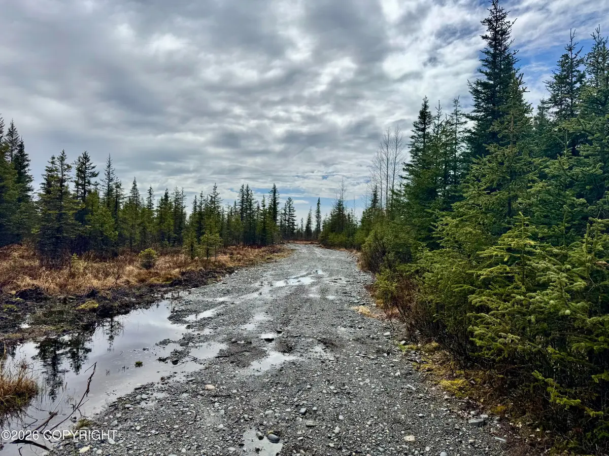 34895 N Fork Road, Anchor Point, AK 99556 - #1
