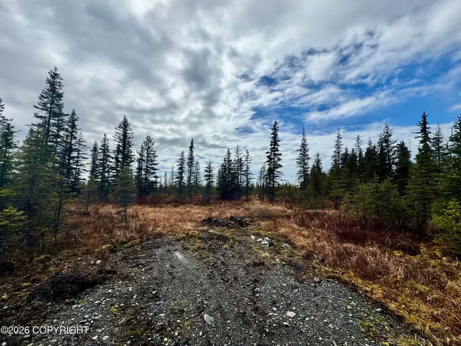 34895 N Fork Road, Anchor Point, AK 99556 - #2