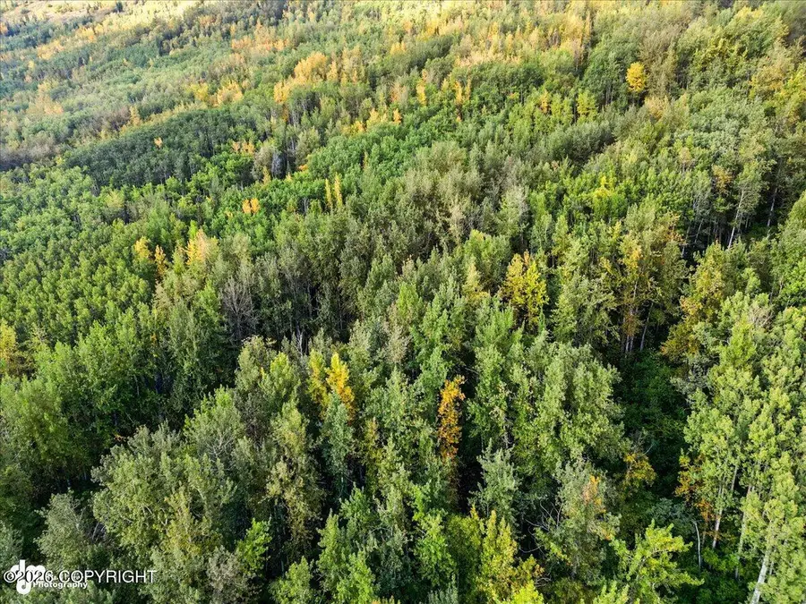 NHN Lower Kogru Drive, Eagle River, AK 99577 - #2