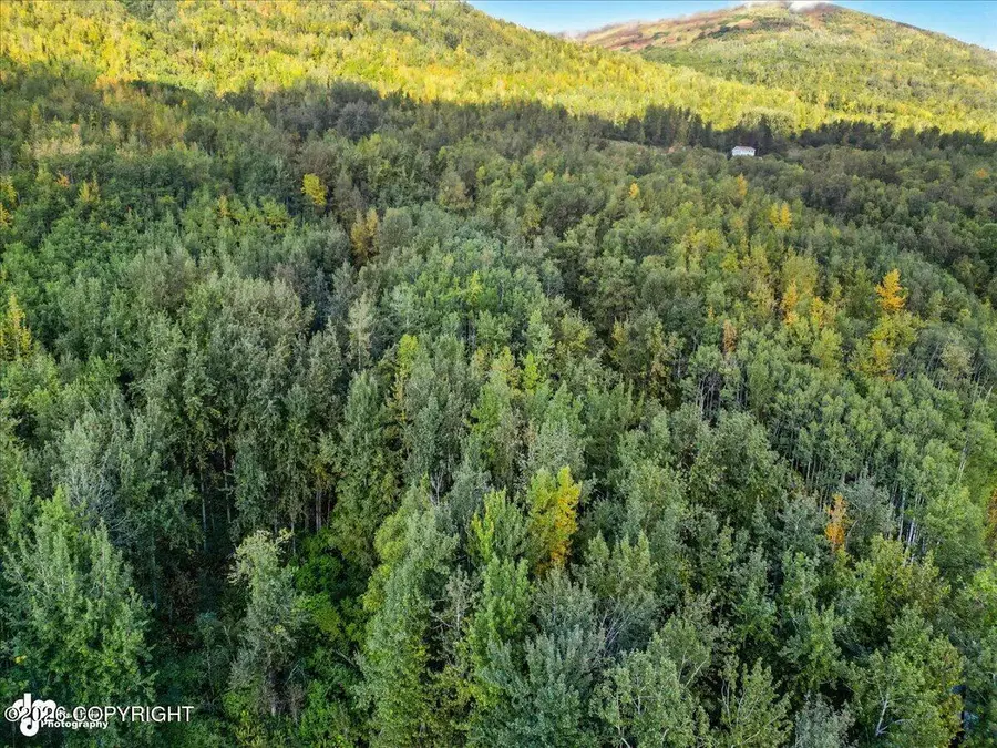 NHN Lower Kogru Drive, Eagle River, AK 99577 - #3