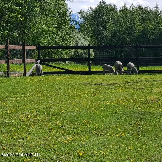 2051 E Fairview Loop, Wasilla, AK 99654 - #3