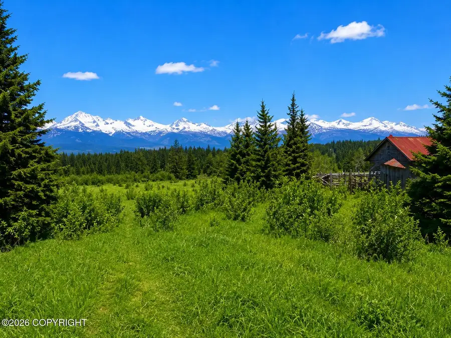 32640 Falls Creek Road, Homer, AK 99603 - #3