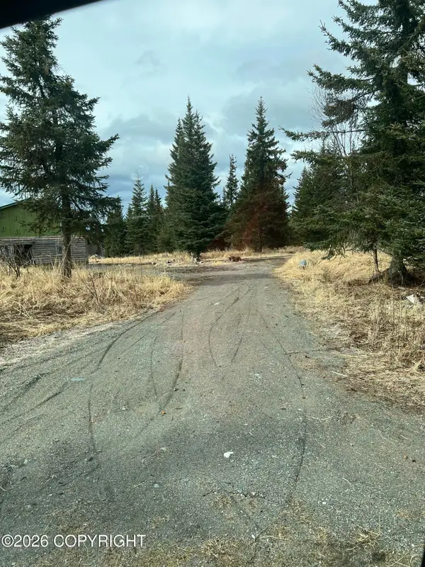 31905 Kostino Road, Anchor Point, AK 99556