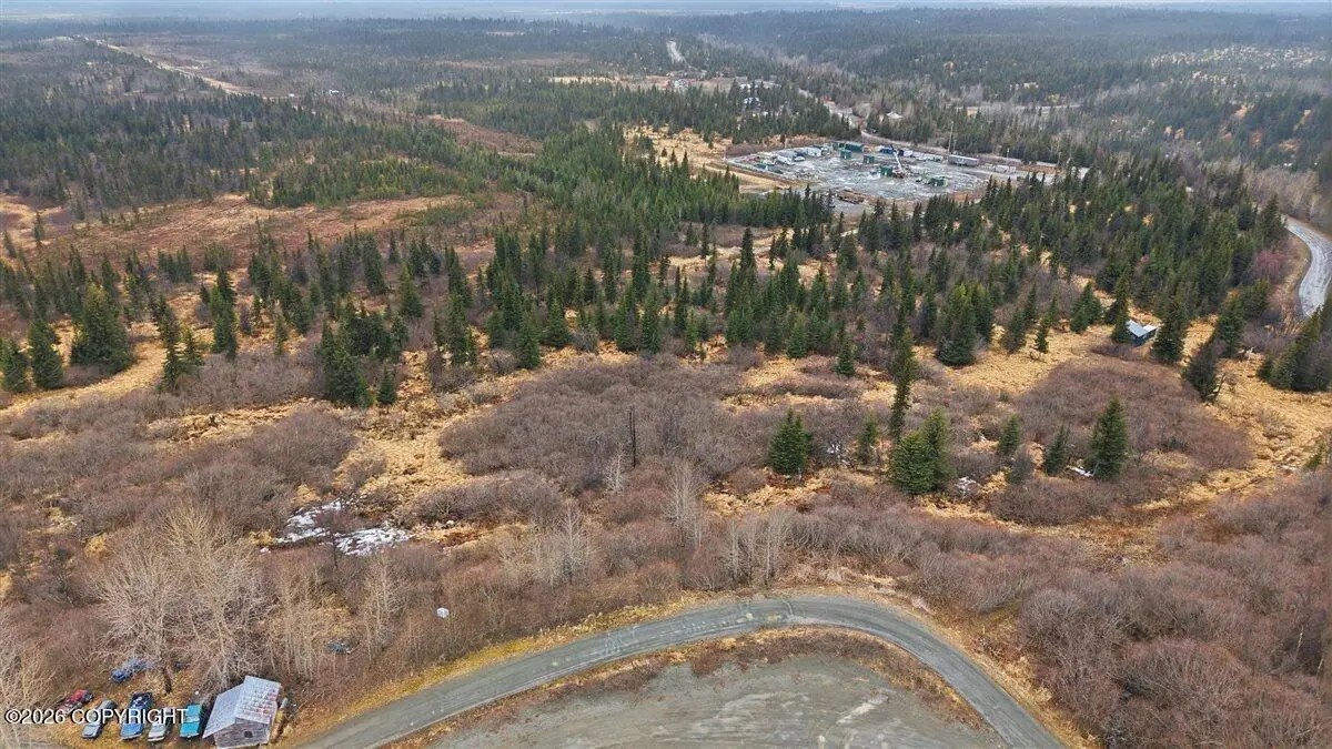 65251 Wagon Road, Anchor Point, AK 99556 - #1