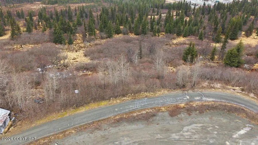 65251 Wagon Road, Anchor Point, AK 99556 - #2
