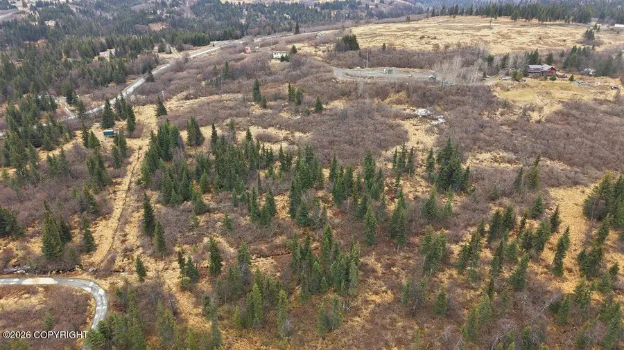 65251 Wagon Road, Anchor Point, AK 99556 - #3