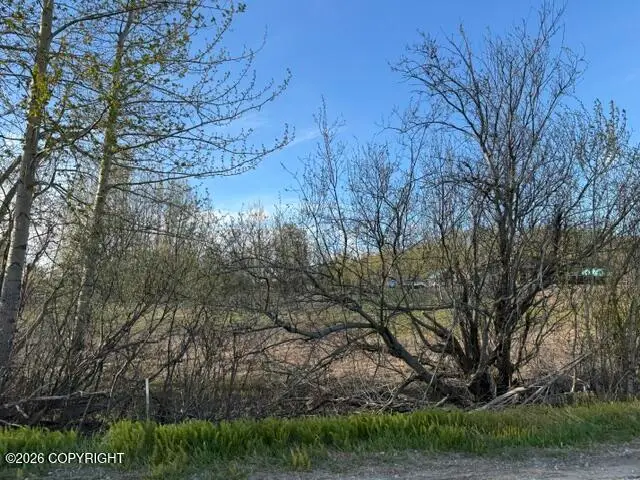 15221 E Nina Road, Palmer, AK 99645 - #1