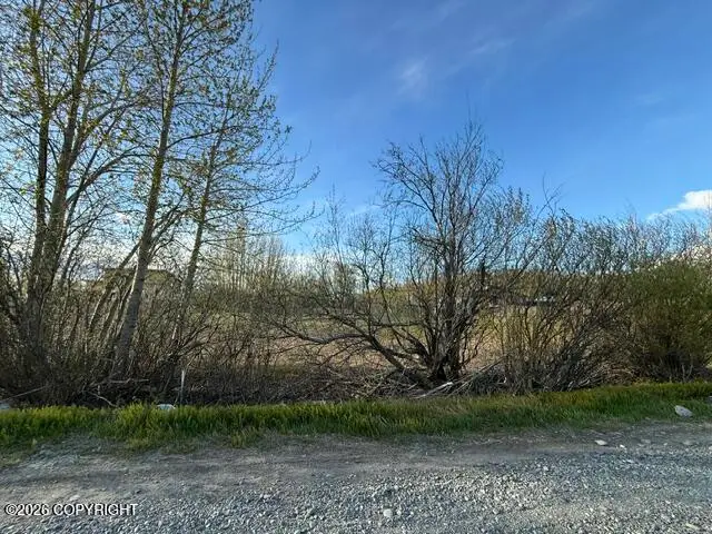 15221 E Nina Road, Palmer, AK 99645 - #3