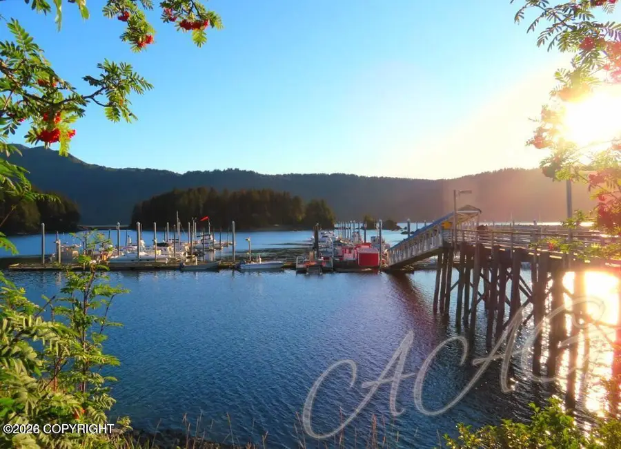 222 Main Street, Seldovia, AK 99663 - #2