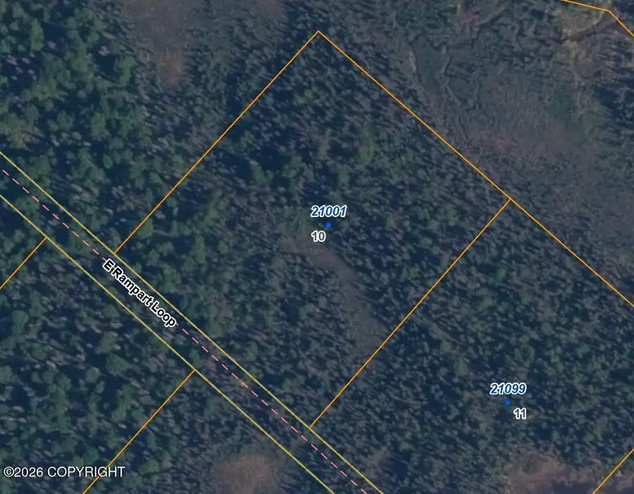 21001 E Rampart Loop, Talkeetna, AK 99676 - #2