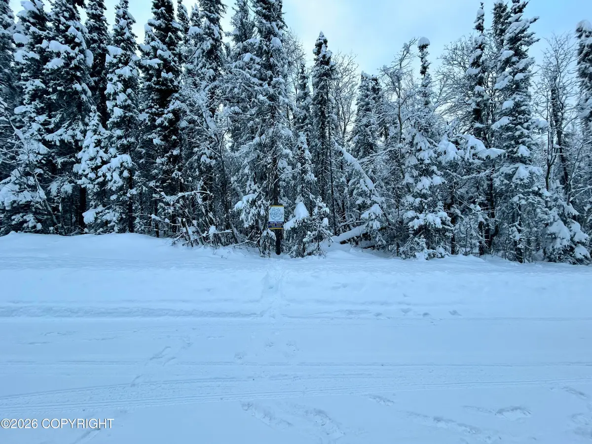 L 140 E Wilderness Rim Road, Willow, AK 99688 - Image #1