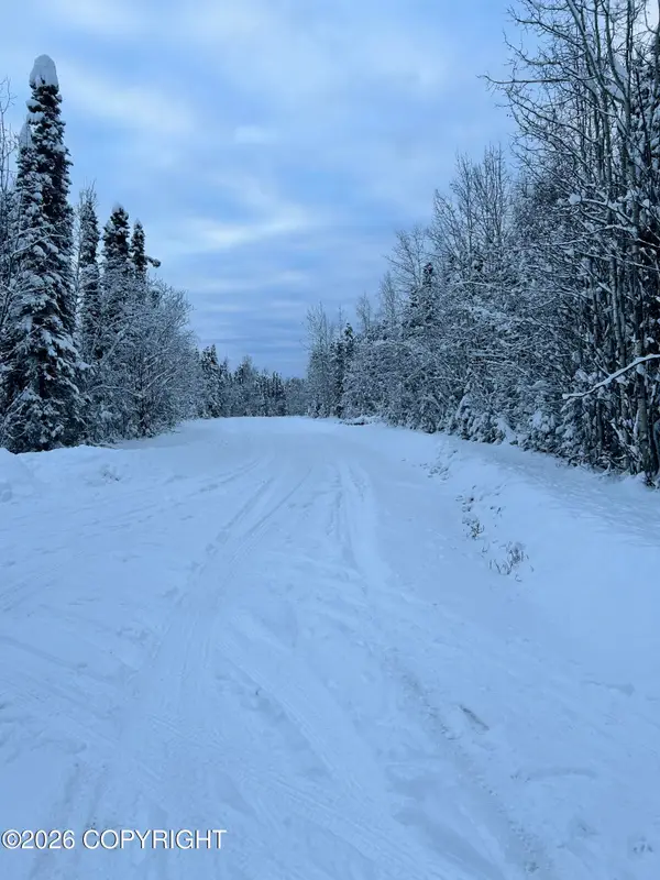 L48 S Otter Drive, Willow, AK 99688