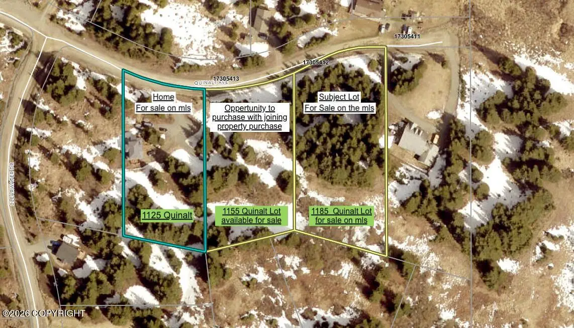 1185 Quinalt Avenue, Homer, AK 99603 - #1