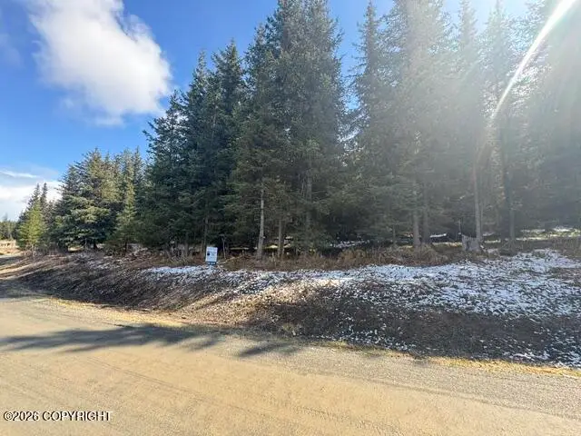 1185 Quinalt Avenue, Homer, AK 99603 - #2