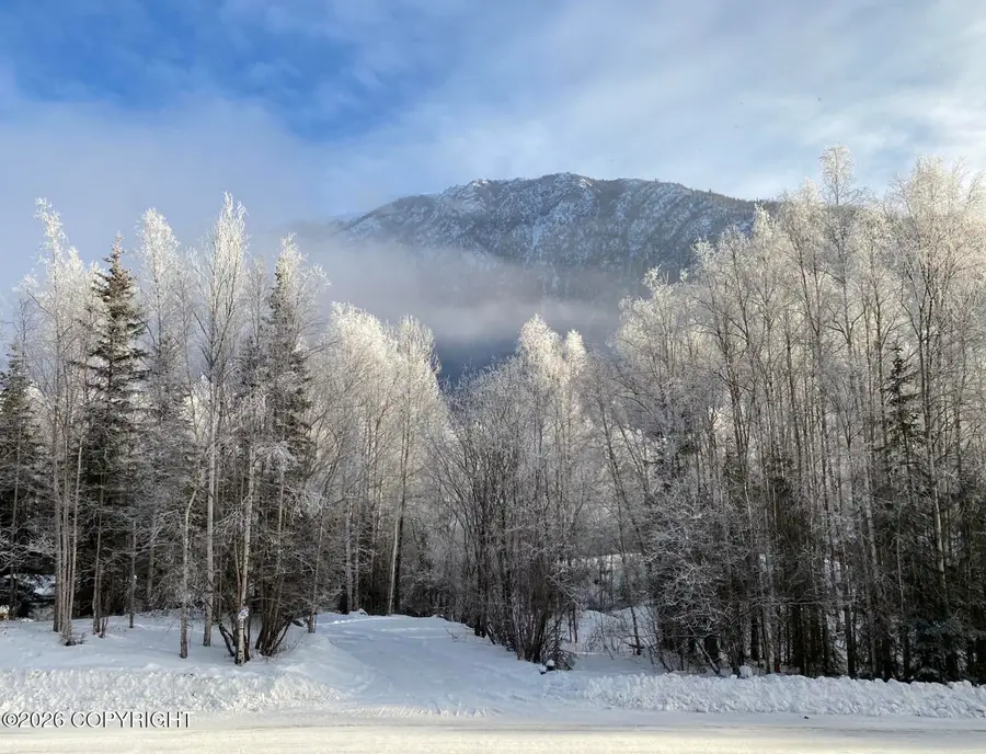 21212 Rock Ptarmigan Street, Chugiak, AK 99567 - #3
