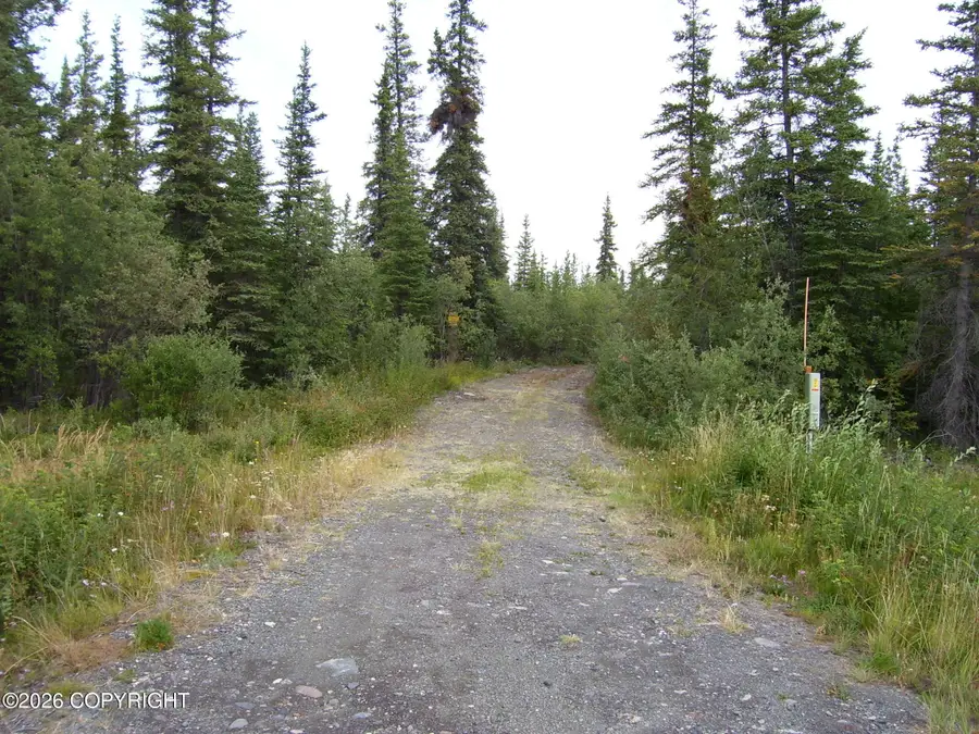 L22 B4 Willow Lake, Copper Center, AK 99573 - #2