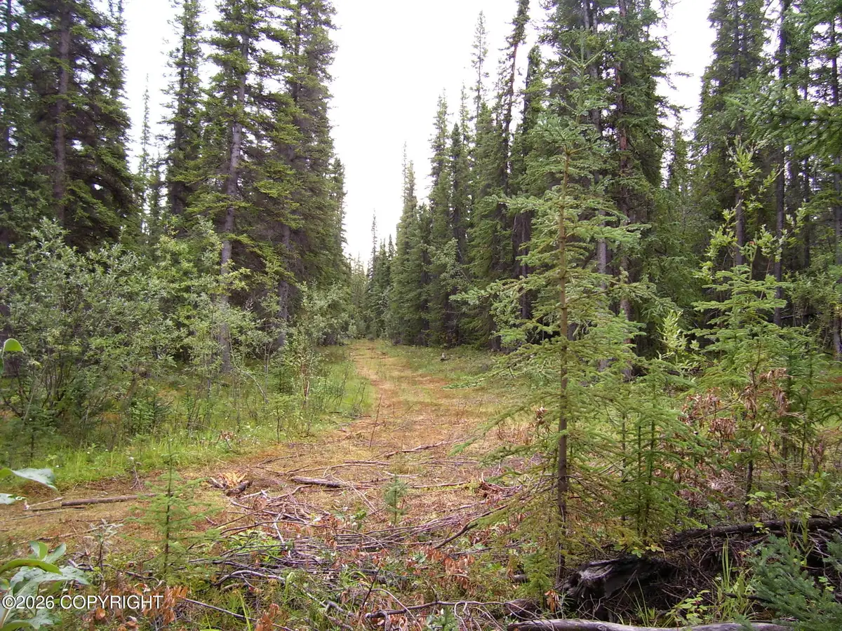 L20 B2 Becky Lane, Copper Center, AK 99573 - #1