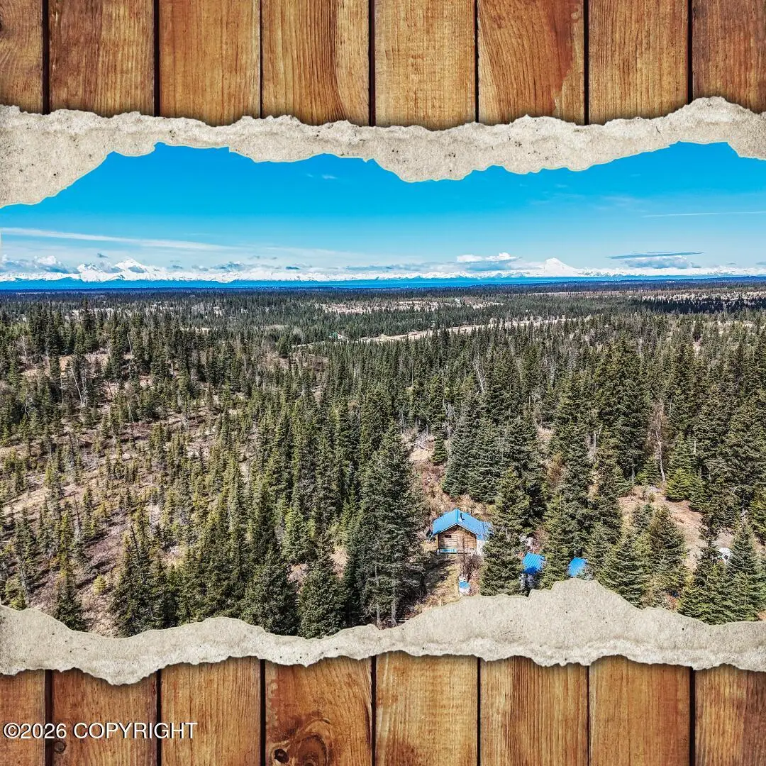 67811 Candle Court, Anchor Point, AK 99556 - #1