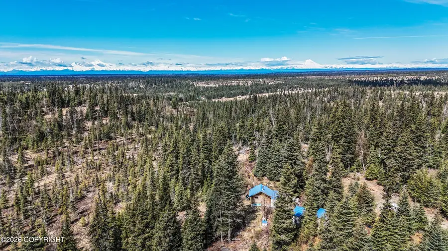67811 Candle Court, Anchor Point, AK 99556 - #3