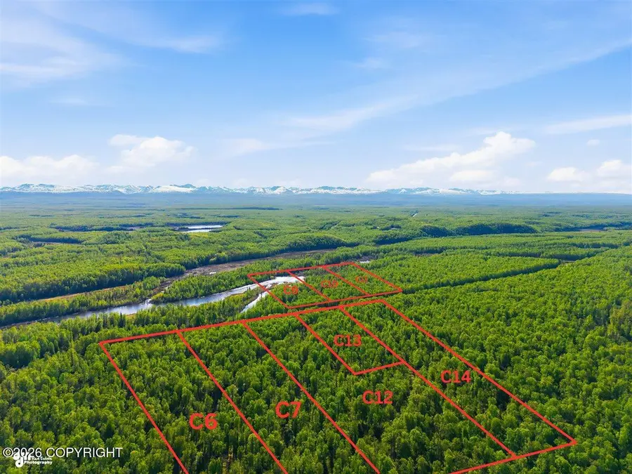C006-007 No Road, Talkeetna, AK 99676 - #2
