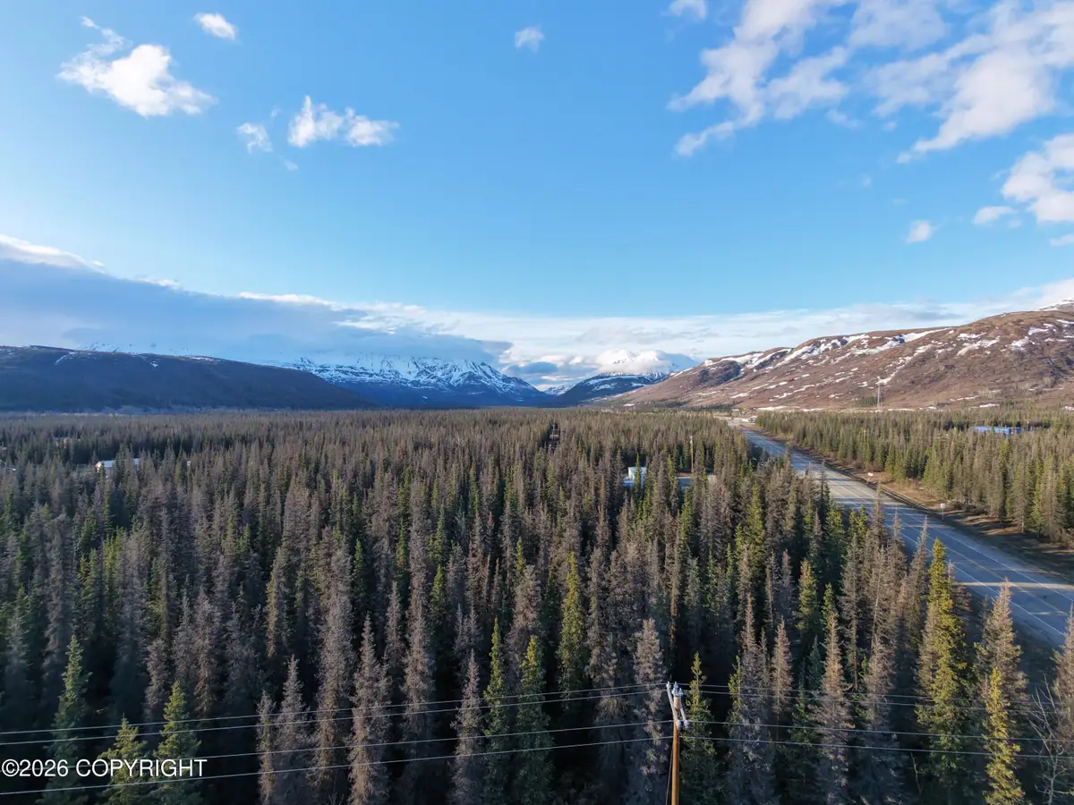 Mile 209 Parks Highway, Cantwell, AK 99729 - #1