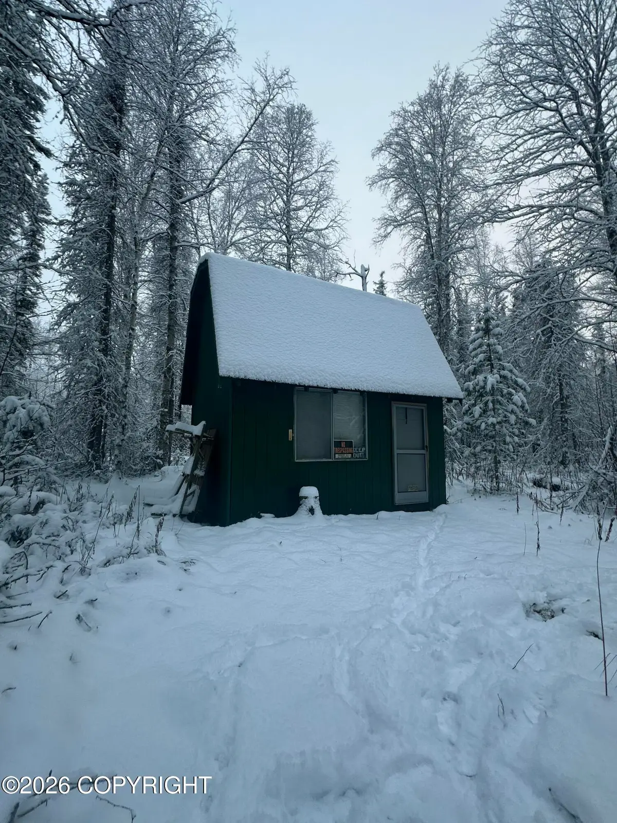 47100 S Bitin Drive, Willow, AK 99688 - #1