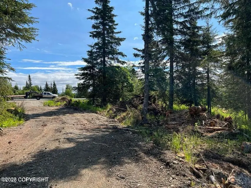 14185 Sterling Highway, Ninilchik, AK 99639 - #2