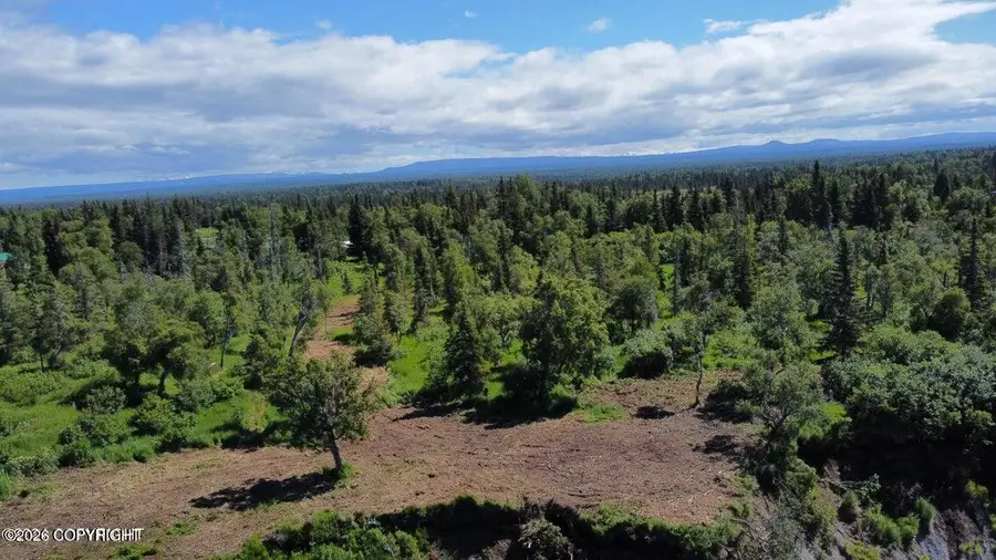 14185 Sterling Highway, Ninilchik, AK 99639 - #3