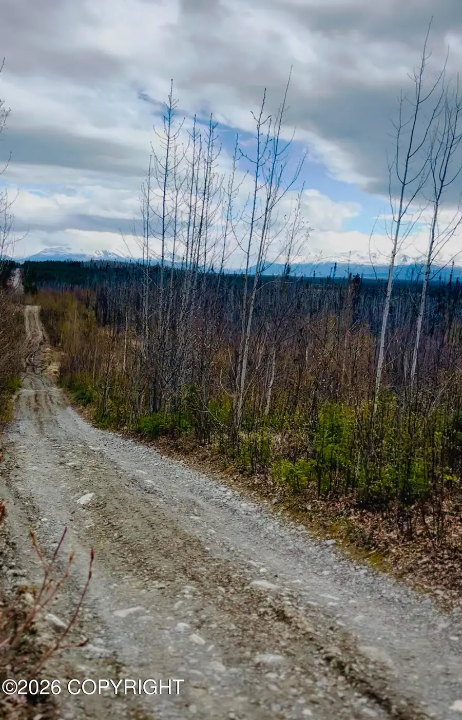 000 Lake Road, Soldotna, AK 99669 - #2