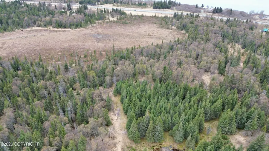 13500 Jackinsky Street, Ninilchik, AK 99639 - #3